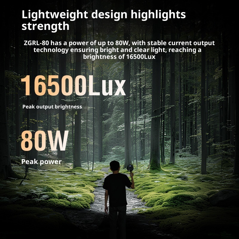 ZGRL80 80 واط COB LED الفيديو  - مراجعة Outdoor Lighting Video وسعره